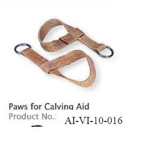 PAWS FOR CALVING AID